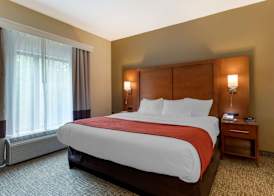 Comfort Suites Kingsport South 5