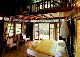 Our Jungle House 5