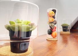 Hotel Plantage 5