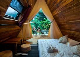 Mimosa Backpackers Hostel 5