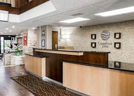 Comfort Inn Metro Airport 3
