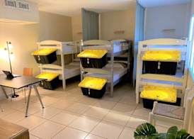 Bposhtels Hollywood Florida 3