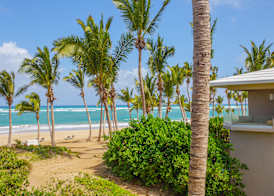 Port Blue Le Sivory Punta Cana 3