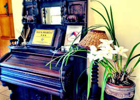 Pilgrims Delight Guest House 4