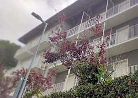 Hotel Villa Platani 3