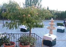 Villa de Gor 5