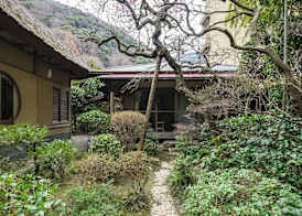 Yamagaso 3