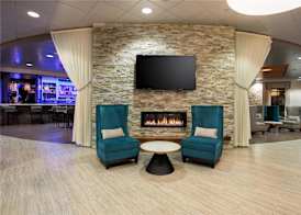 The Mosey Buffalo Williamsville Tapestry Collection Hilton 3