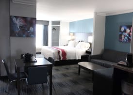 Best Western Medical Center North Inn & Suites Near Six Flags 4