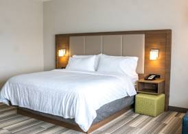 Holiday Inn Express & Suites BRANDON by IHG 5
