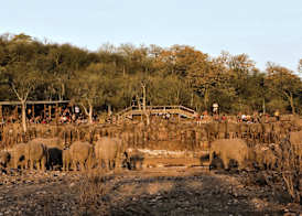 Halali Resort 3
