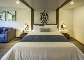 Flow Condesa - Adults Only 3