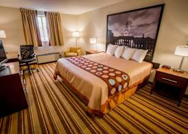 Super 8 by Wyndham State College 4