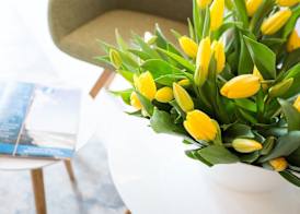 Hotel Strand26 an der Ostsee 3