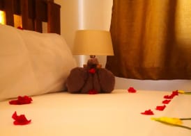 Mambo Inn Nungwi 3