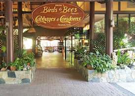 Birds and Bees Resort 3