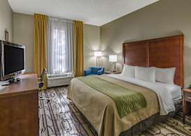 Comfort Inn & Suites Staunton 5