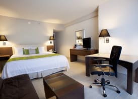 Holiday Inn PUEBLA LA NORIA by IHG 5