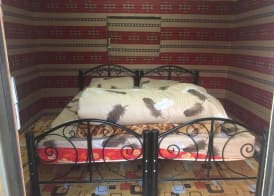 Wadi Rum Desert Adventures 3