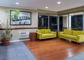 Super 8 by Wyndham Williamsburg/Historic Area 4