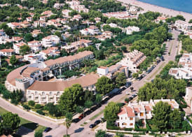 ALEGRIA Pino Alto 2