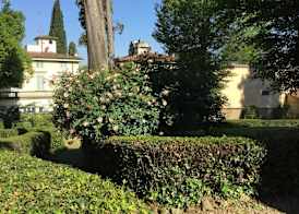 Villa Nardi - Residenza D'Epoca 5