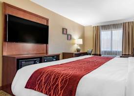 Comfort Inn & Suites Leeds I-20 3
