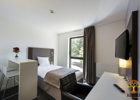Adonis Dijon Maison Internationale 4
