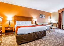 Comfort Suites Oceanside Camp Pendleton Area 5
