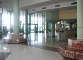 Patacona Green Holiday 2