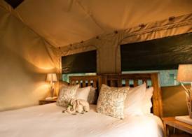 Rukiya Safari Camp 3