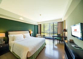 Swiss-Belhotel Rainforest 4