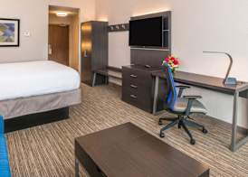 Holiday Inn Express & Suites TAMPA NORTH - WESLEY CHAPEL by IHG 4