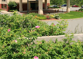 Hampton Inn White River Junction 5