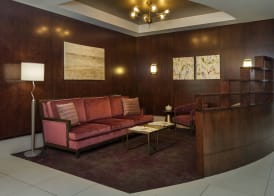 SpringHill Suites by Marriott Philadelphia Airport / Ridley Park 2