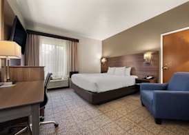 Comfort Inn & Suites Fenton 4