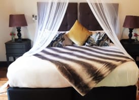 Addo African Home 4