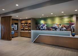 SpringHill Suites by Marriott Bowling Green 2