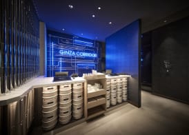 The Royal Park Canvas Ginza Corridor 2
