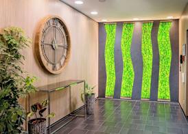 Best Western Hotel Airport Frankfurt 4