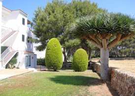 Apartamentos Piscis 5