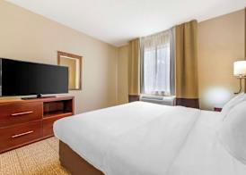 Comfort Suites Castle Rock - Denver South 5