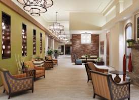 Hilton Garden Inn Rochester Downtown, NY 5