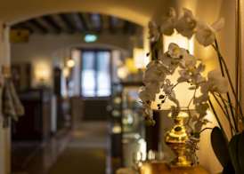 Hotel Villa Cipriani 3