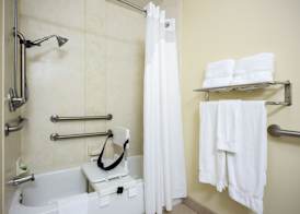 Holiday Inn Express & Suites VANDALIA by IHG 4