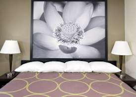 Super 8 by Wyndham Florence 4