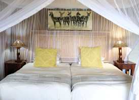Zambezi Dusk River Facing-all inclusive-Luxury Accommodation 2