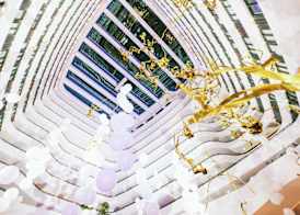 Hilton Amsterdam Airport Schiphol 5