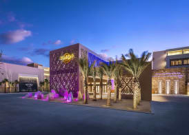 Hard Rock Hotel Los Cabos 2