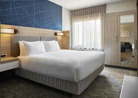 SpringHill Suites by Marriott Frederica 5